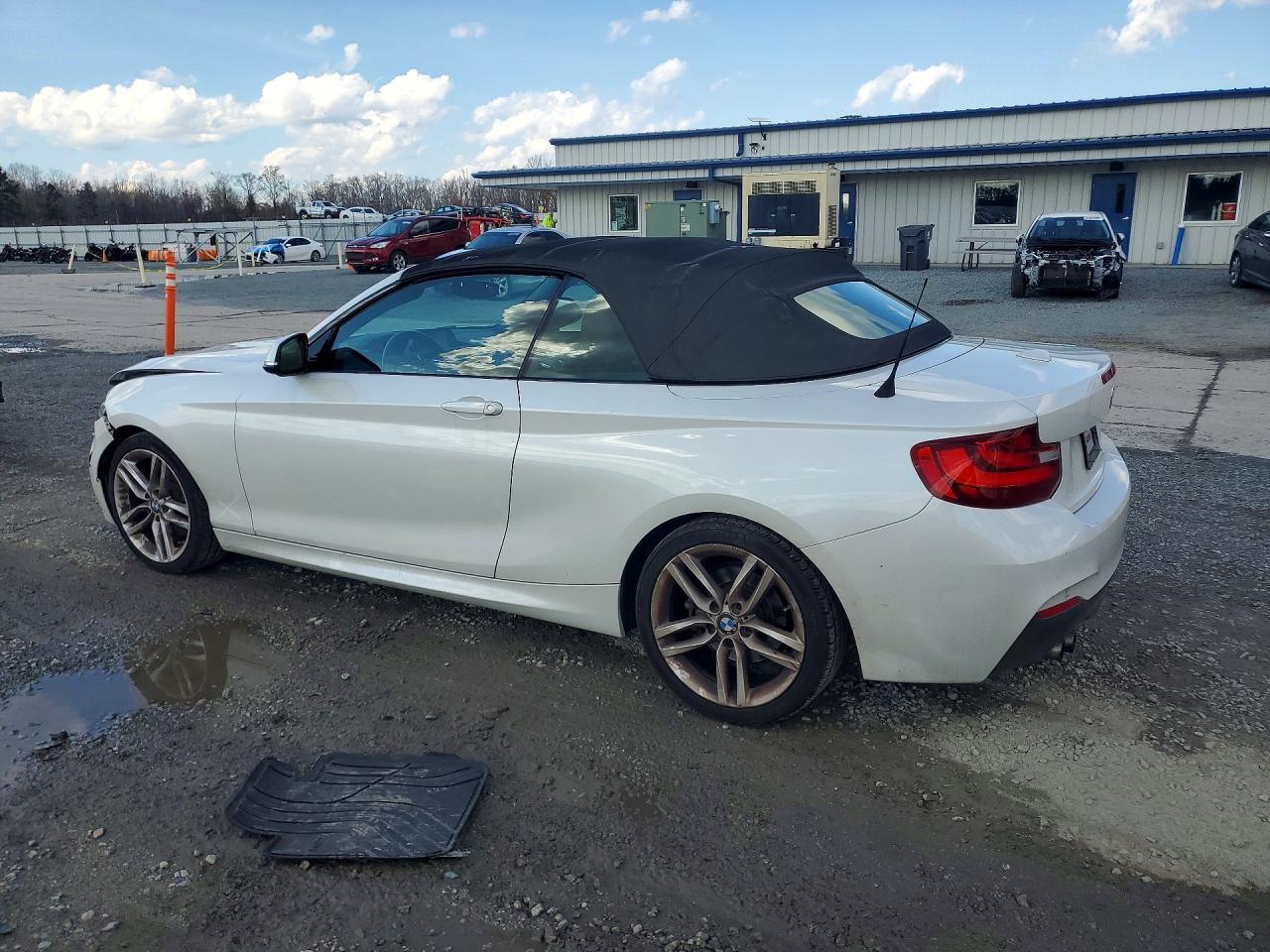 2016 BMW 2 series VIN WBA1K9C56GV710301 photo 2