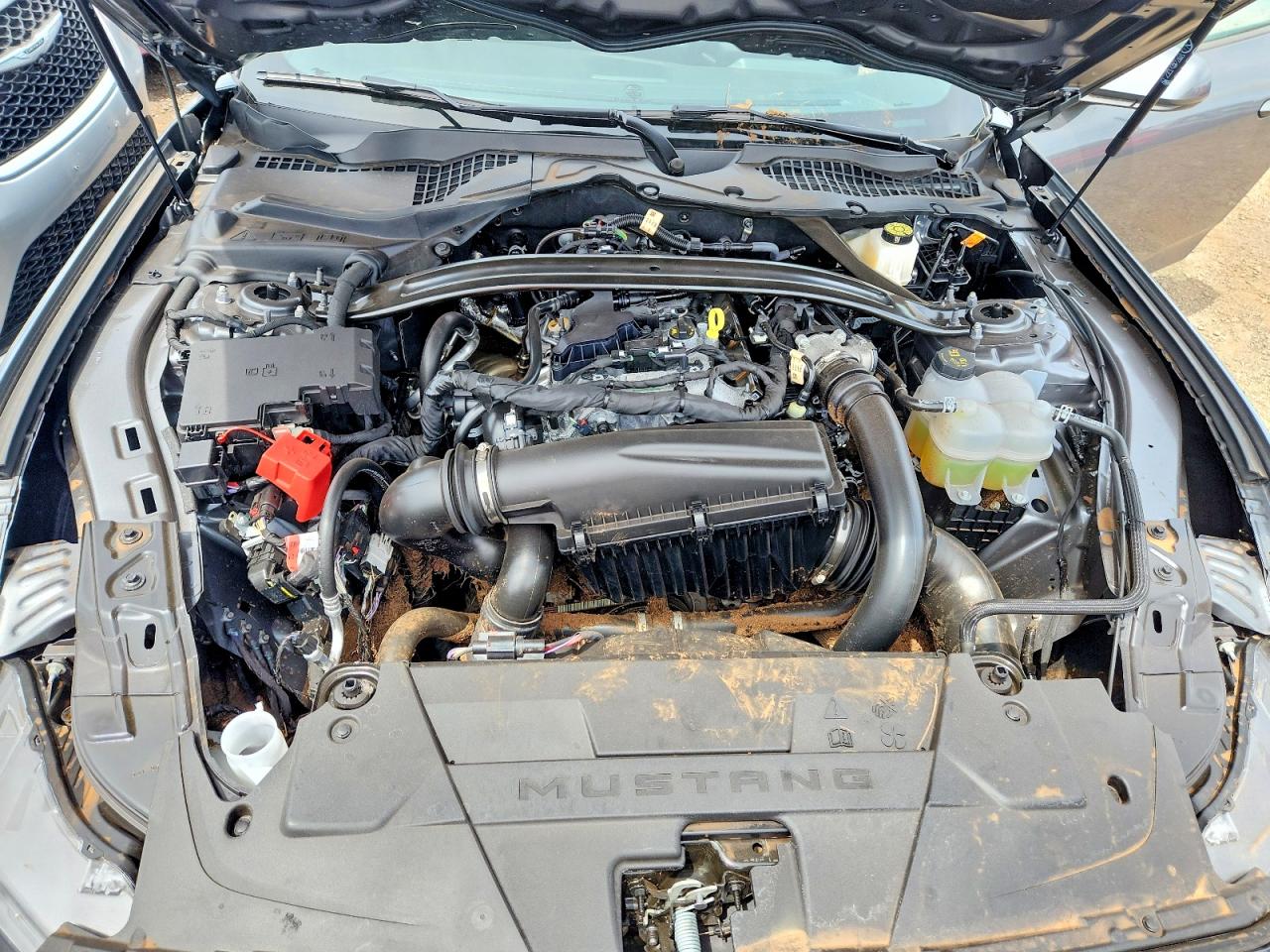 2026 Ford Mustang VIN 1FAGP8UH0T5109497 photo 11