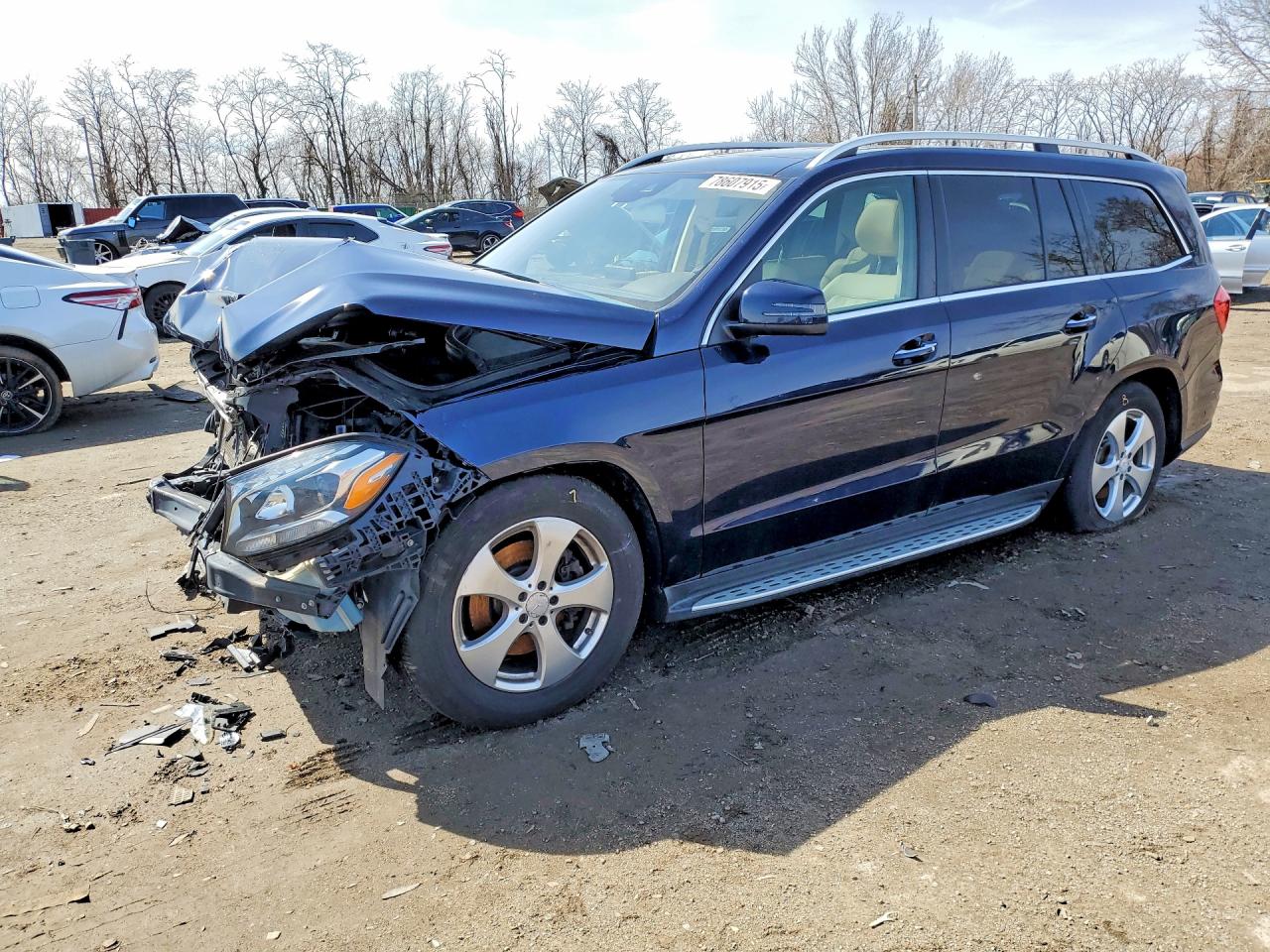 2017 Mercedes-Benz Gls-class VIN 4JGDF6EE4HA769674 photo 1