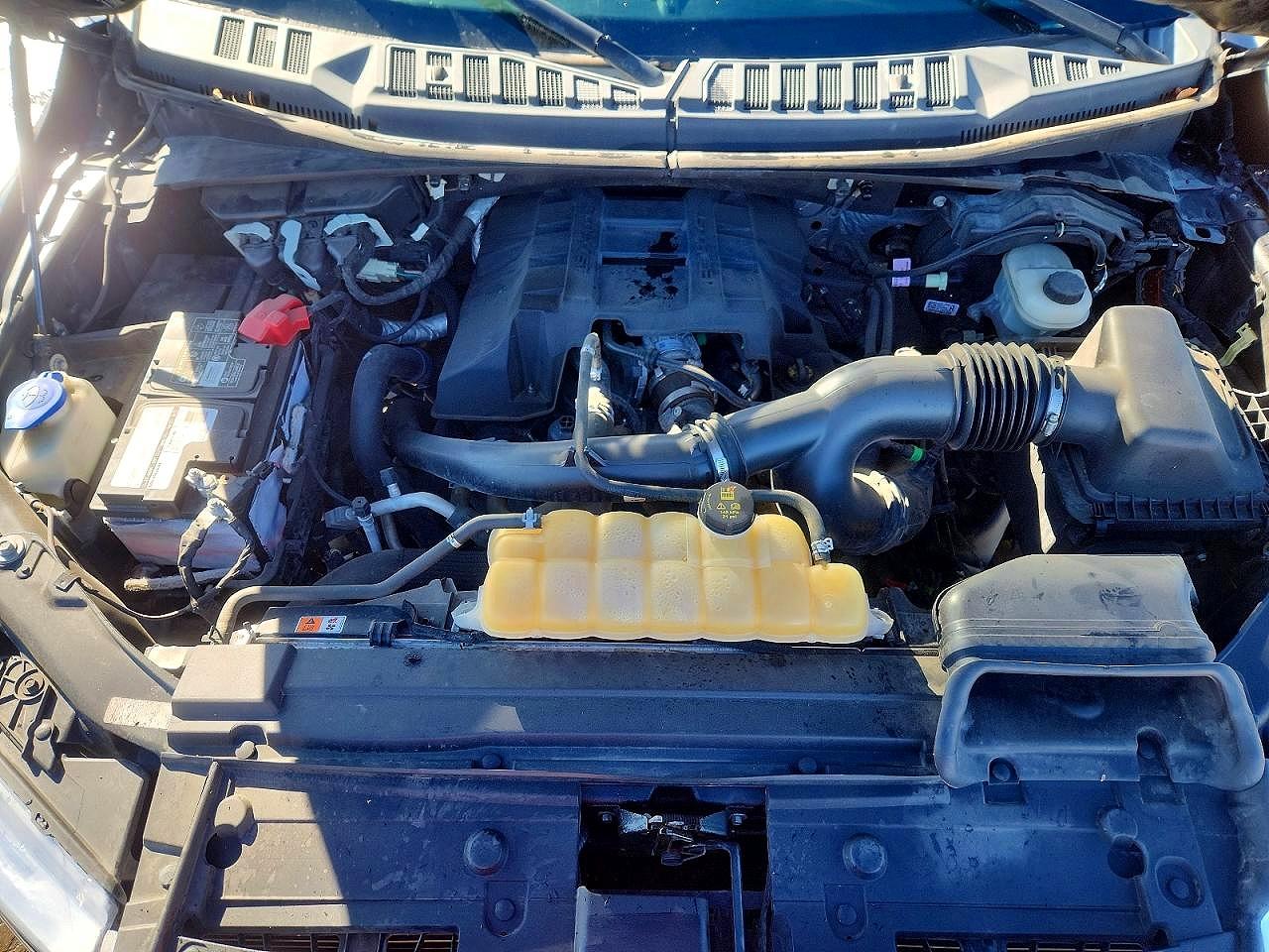 2018 Ford F150 laria VIN 1FTEW1EP1JKD66734 photo 11