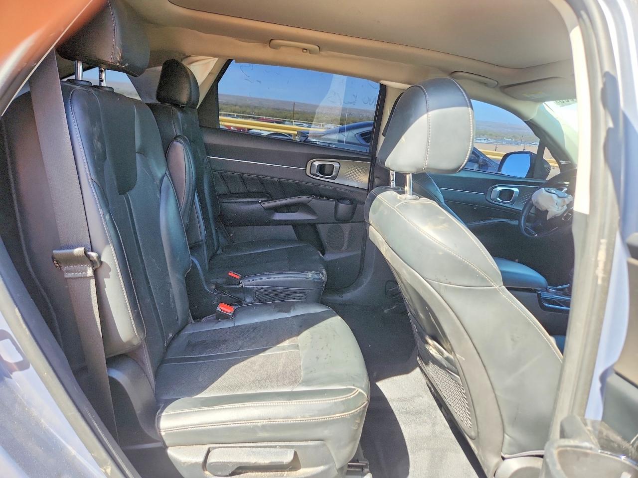 2021 Kia Sorento VIN 5XYRK4LF8MG033496 photo 10