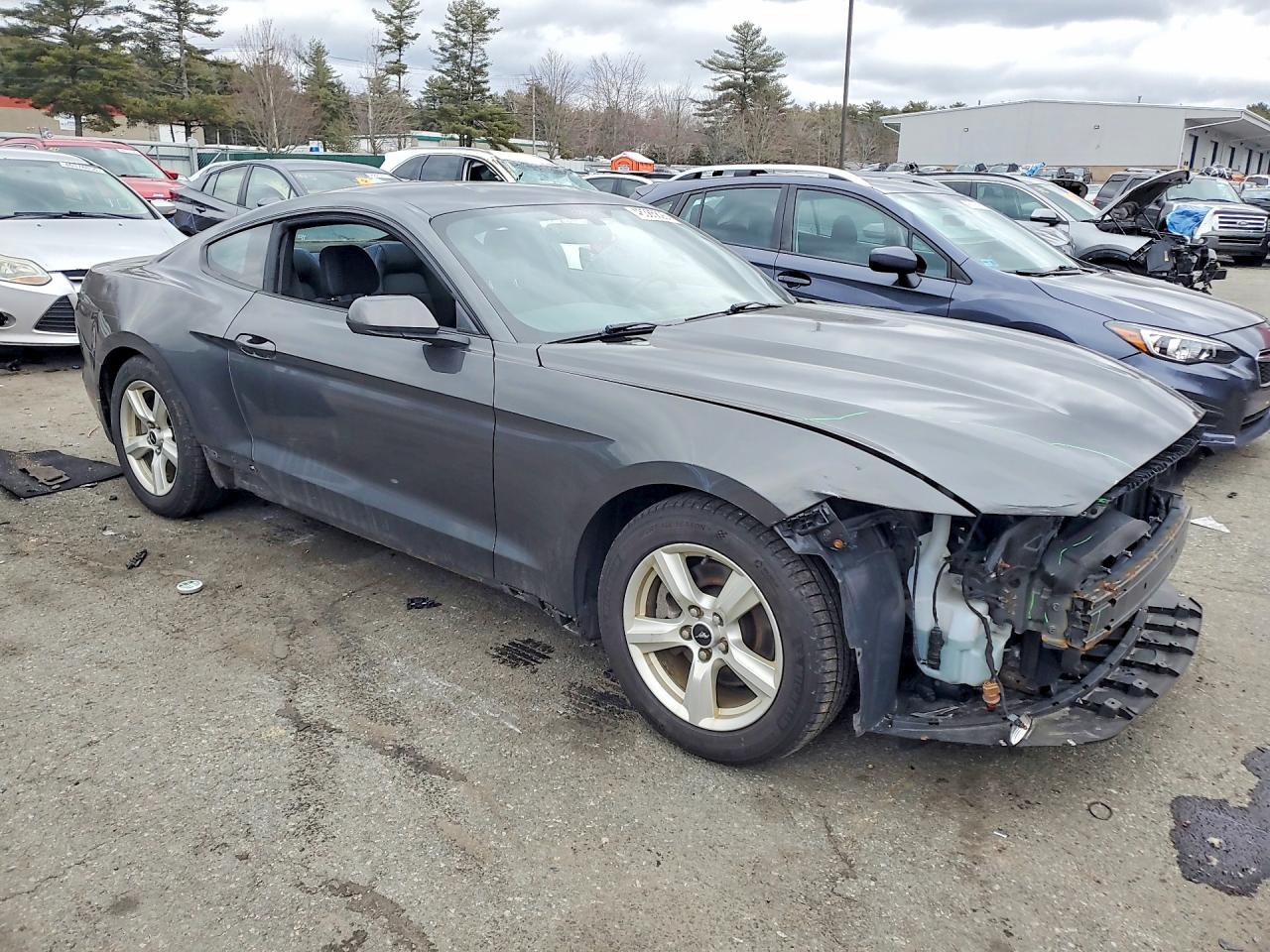 2017 Ford Mustang VIN 1FA6P8AM1H5229913 photo 4