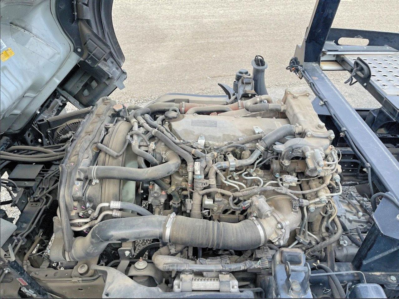 2020 Isuzu All models VIN JALE5W168L7305608 photo 7