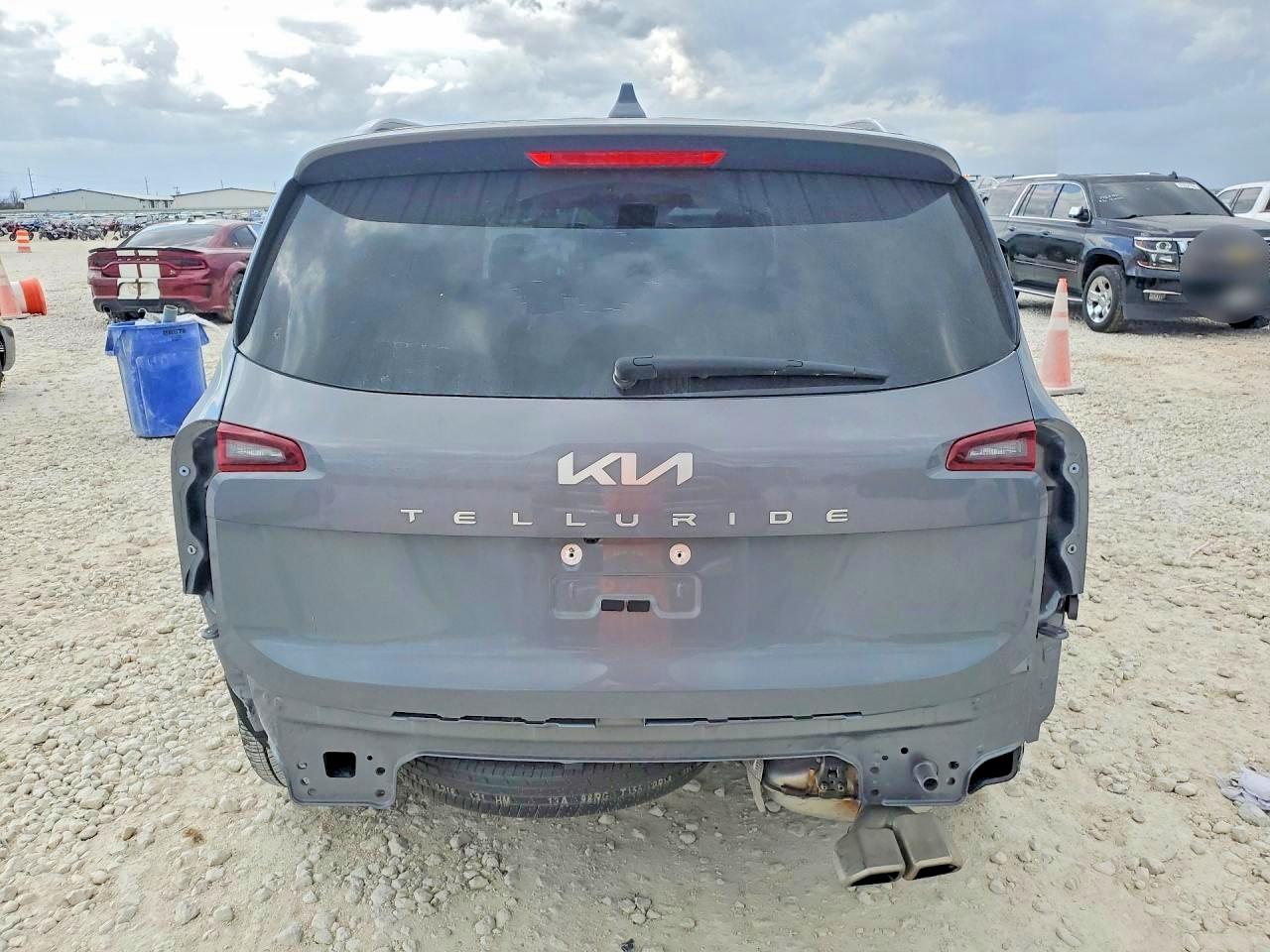 2025 Kia Telluride VIN 5XYP64GC5SG597034 photo 6