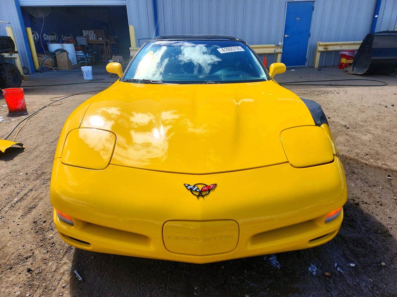 2004 Chevrolet Corvette VIN 1G1YY22G545101795 photo 5