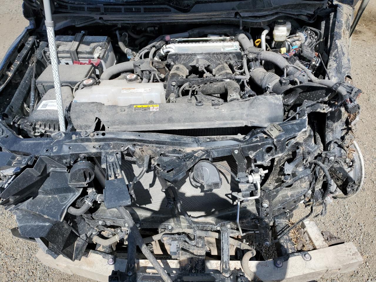 2023 TOYOTA Tundra cre VIN 5TFNA5EC6PX017566 photo 11