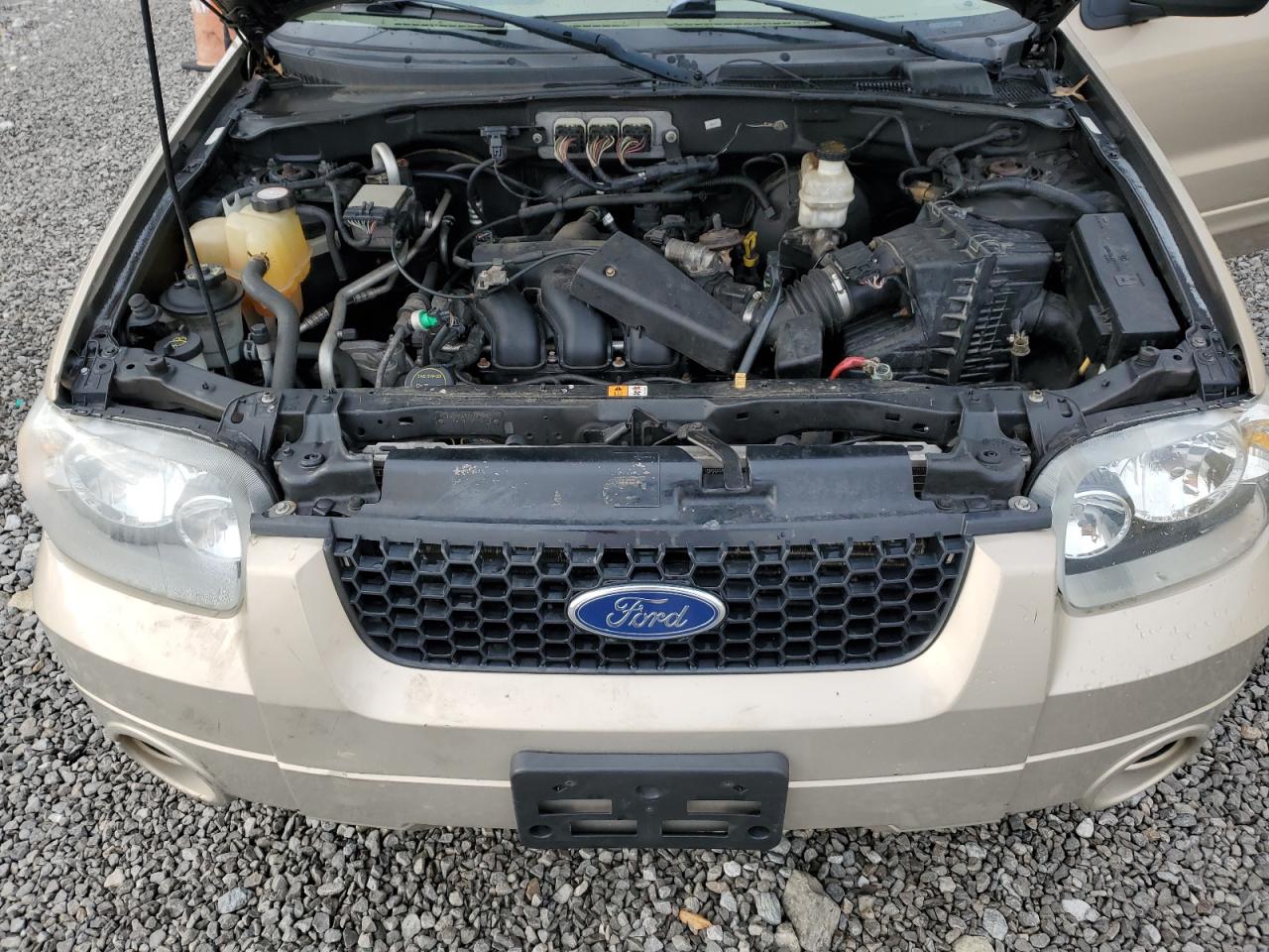 2007 Ford Escape VIN 1FMCU94187KC03057 photo 12