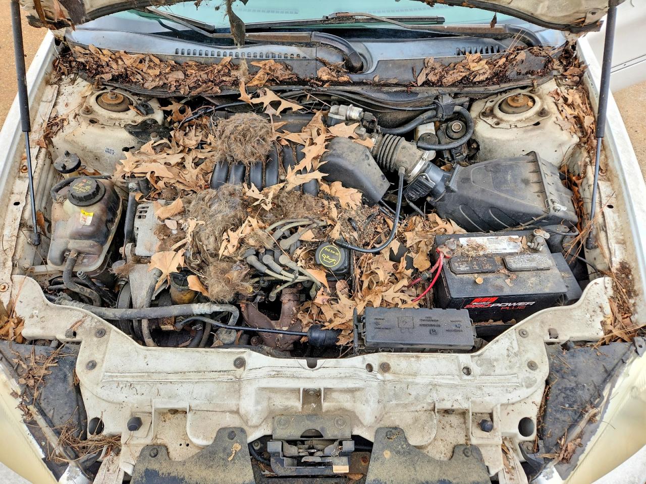 2001 Ford Taurus VIN 1FAFP53U01A110758 photo 11