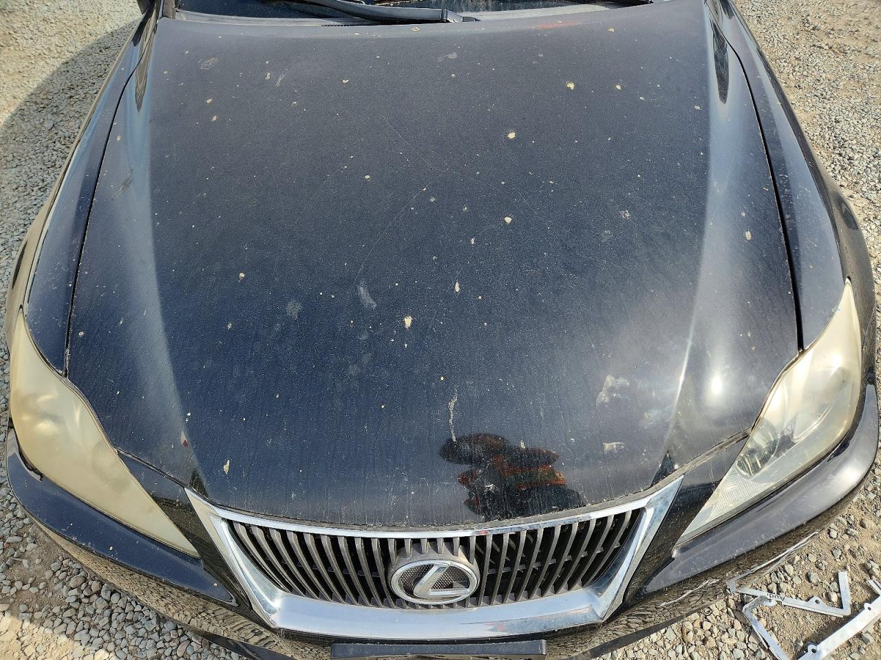 2009 Lexus Is VIN JTHBK262X95104713 photo 11