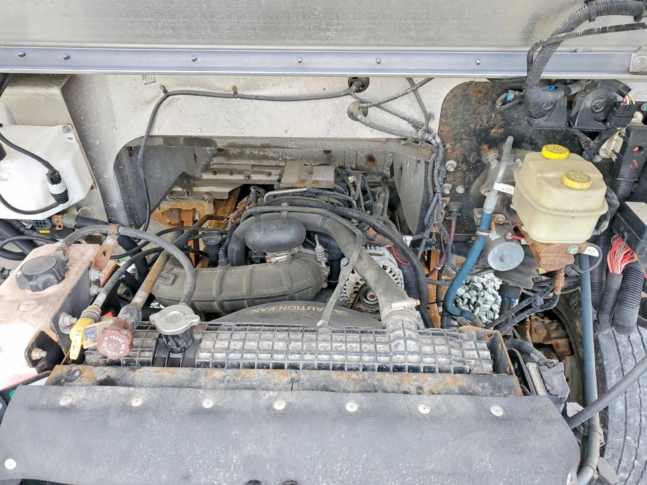 2020 FREIGHTLINER All other VIN 4UZAC2EA0LCLZ6650 photo 12
