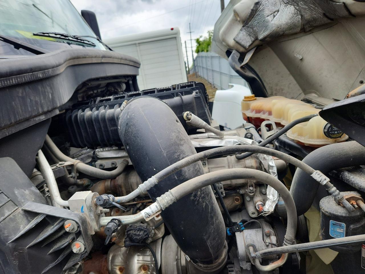 2023 FREIGHTLINER All other VIN 3AKJHLDV2PSNT4529 photo 7