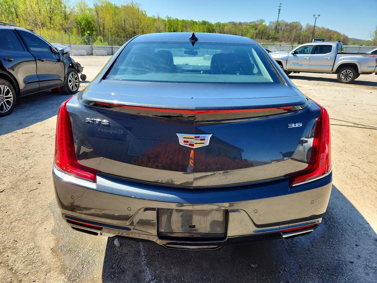 2019 Cadillac Xts VIN 2G61M5S38K9157980 photo 6