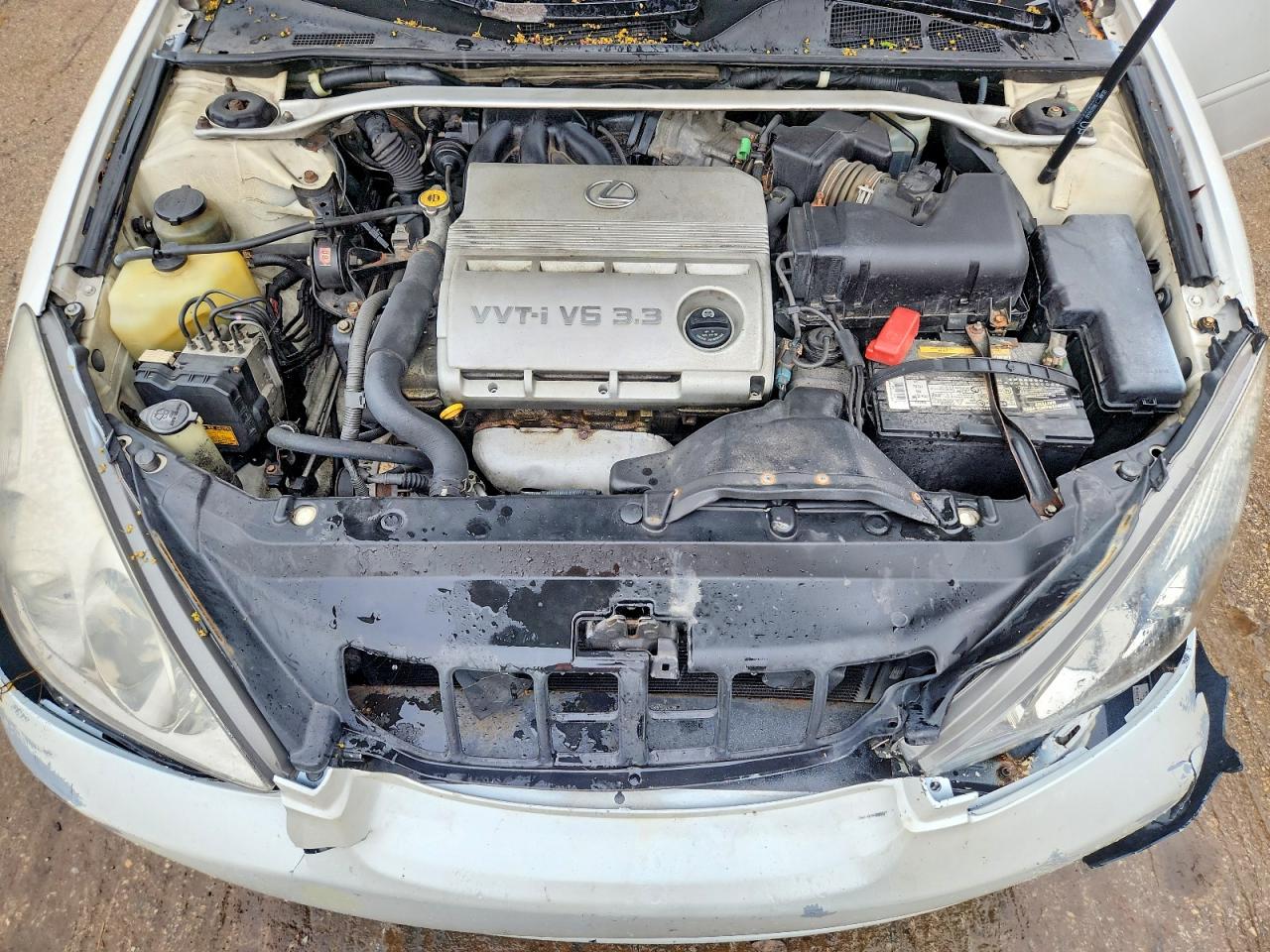 2006 Lexus Es330 VIN JTHBA30G565161751 photo 11