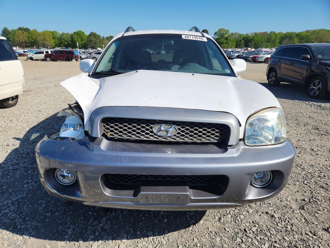 2003 Hyundai Santa fe VIN KM8SC13DX3U426856 photo 5