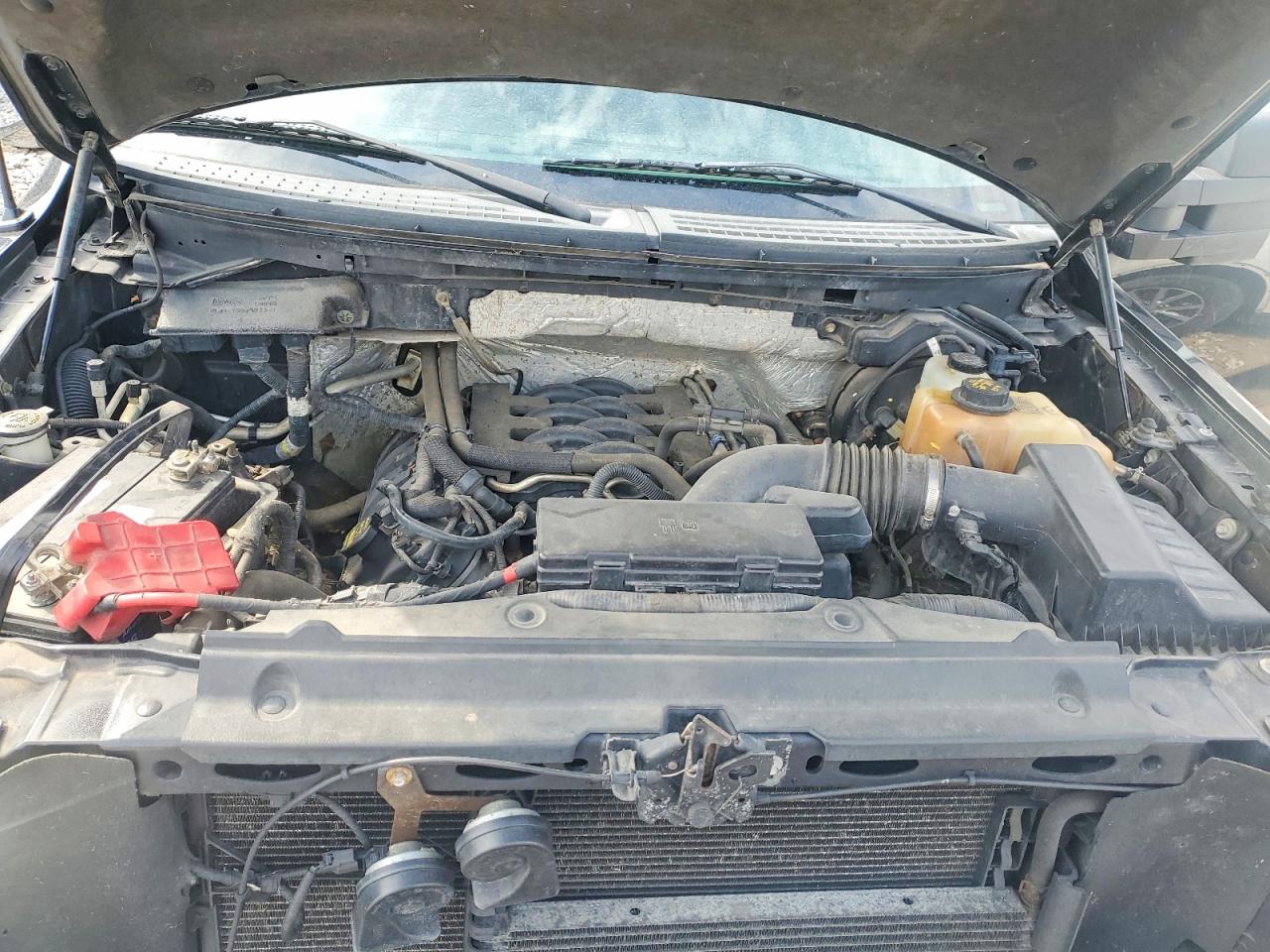2011 Ford F150 VIN 1FTFX1EF4BFA71307 photo 11