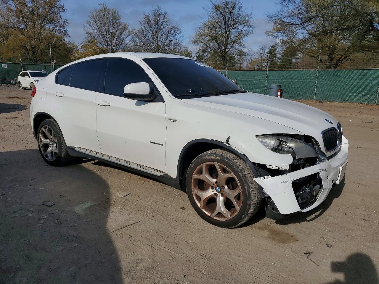 2010 BMW X6 VIN 5UXFG4C55AL226070 photo 4
