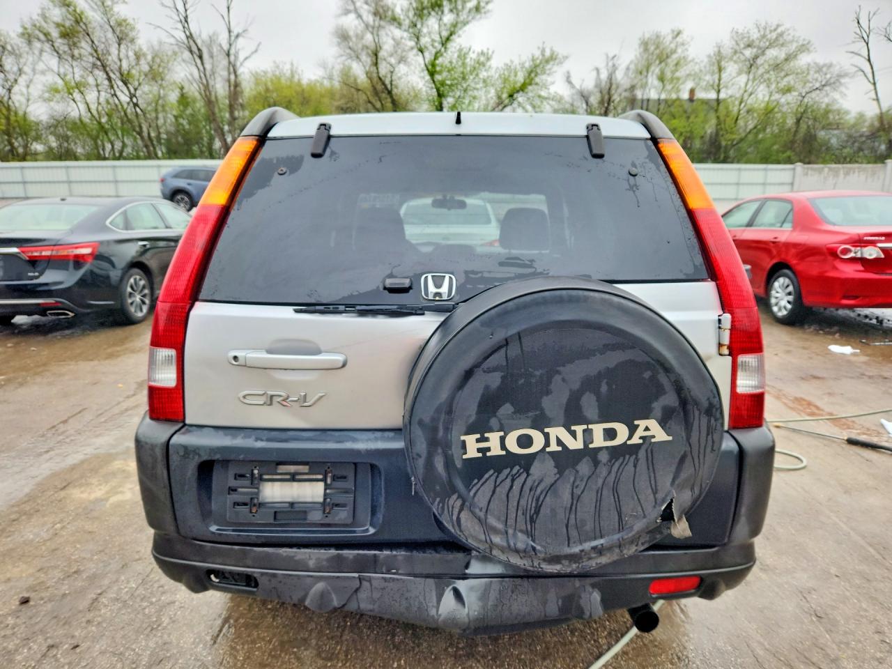 2004 Honda Crv VIN SHSRD78874U254559 photo 6