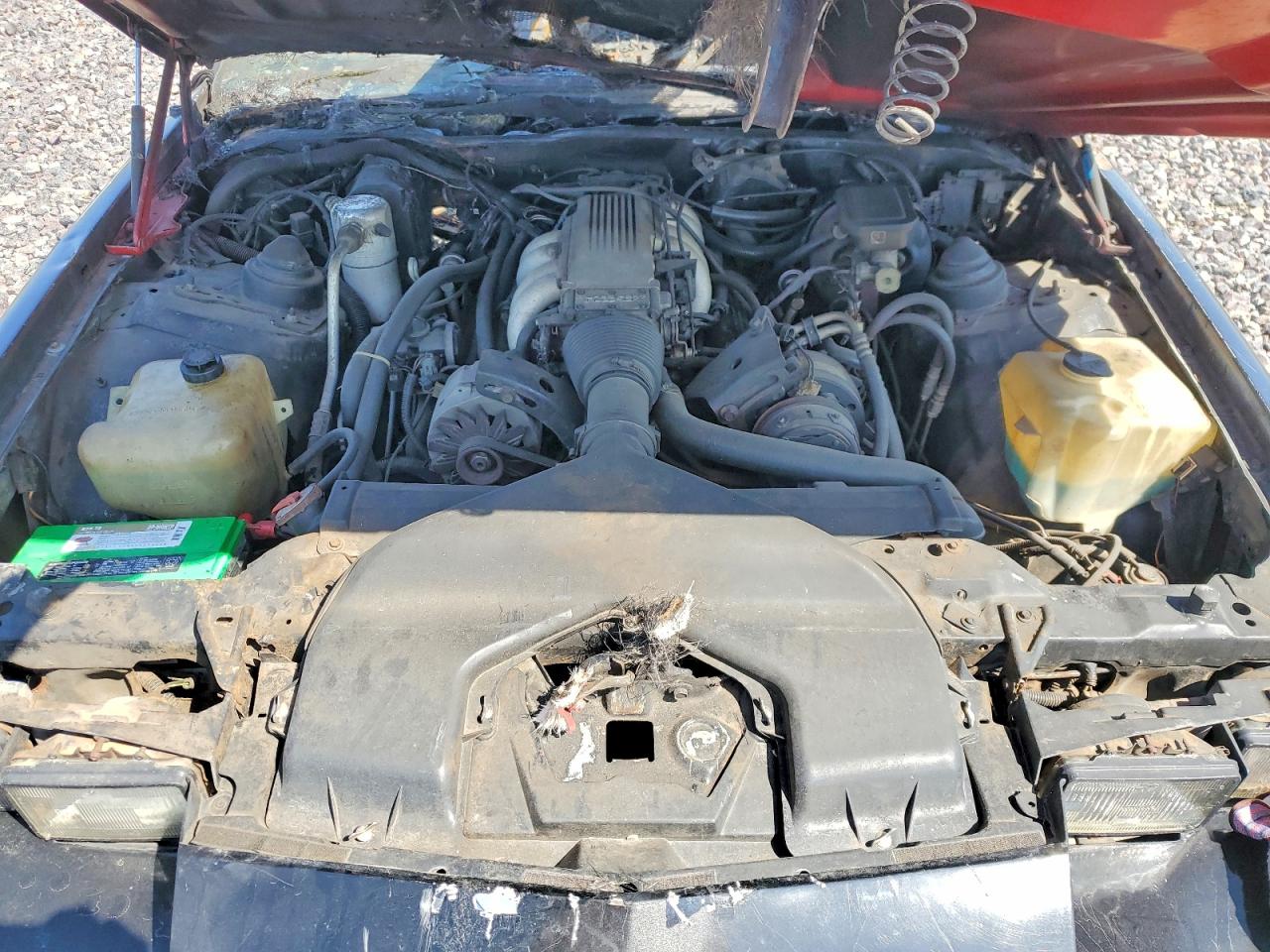 1986 CHEV Camaro VIN 1G1FP87F5GN123667 photo 11