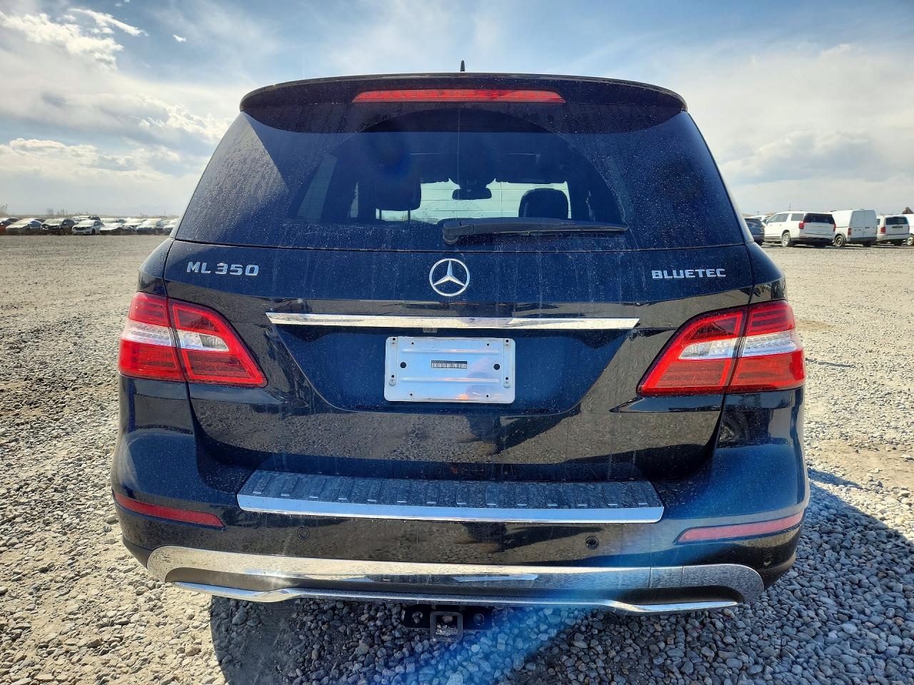 2013 Mercedes-Benz M-class VIN 4JGDA2EB0DA220190 photo 6