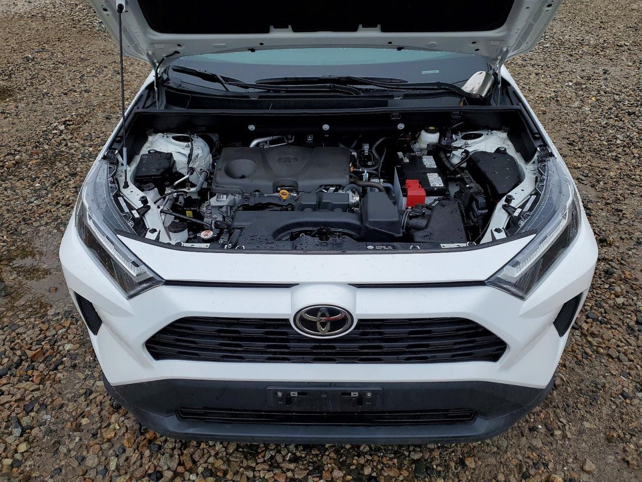 2025 Toyota Rav4 VIN 2T3P1RFV0SC548552 photo 12