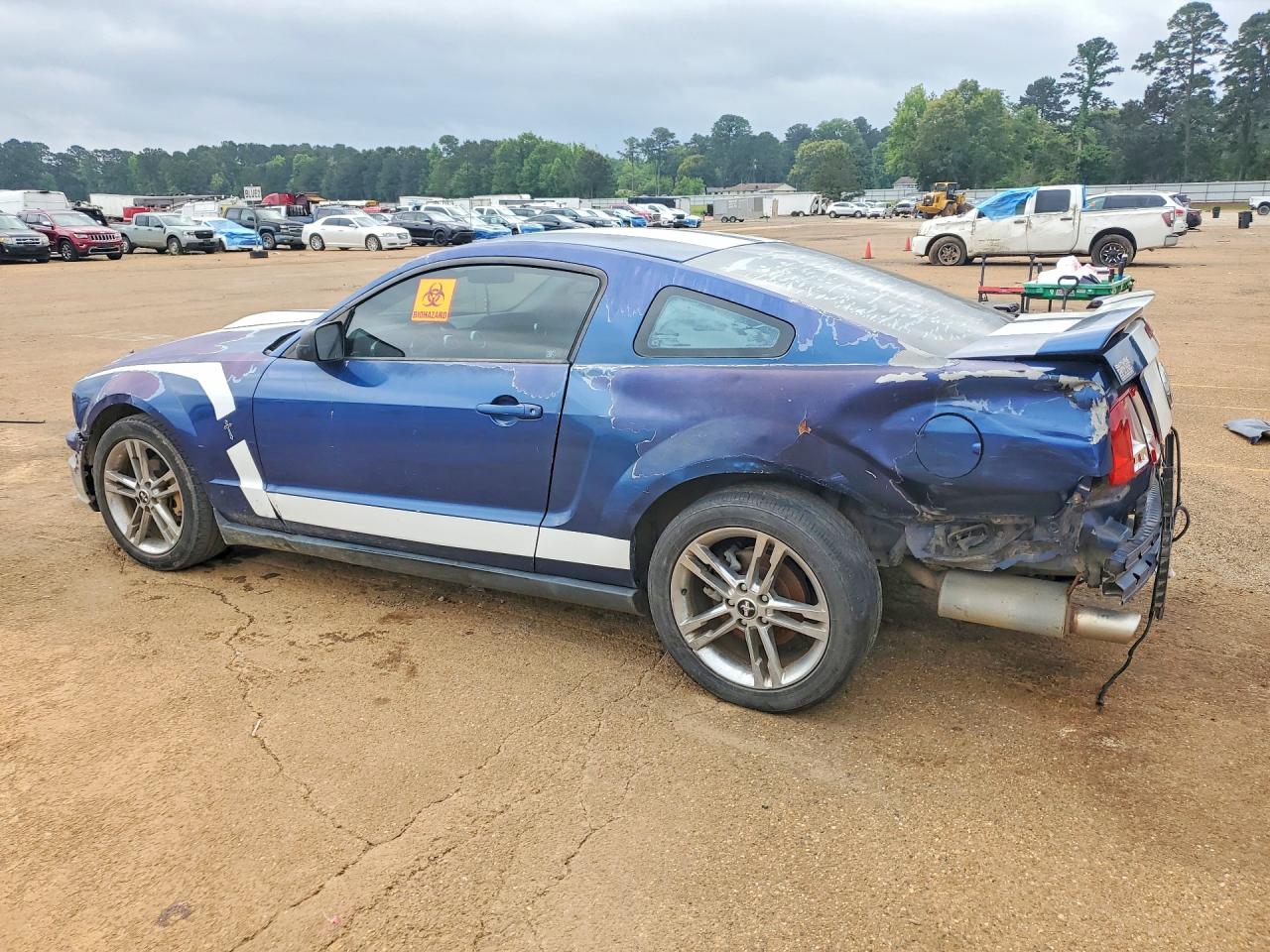 2006 Ford Mustang VIN 1ZVFT80N165166712 photo 2