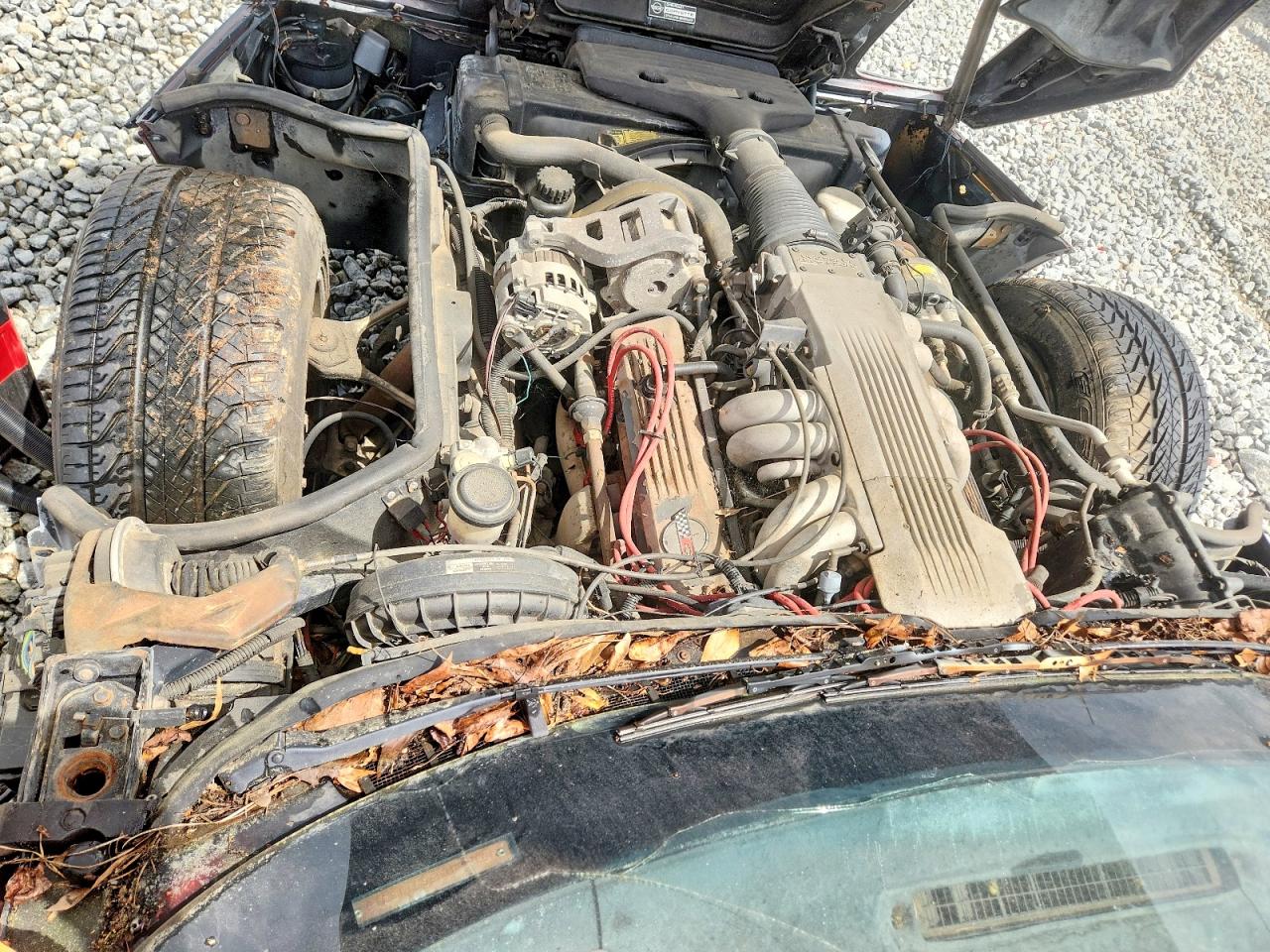 1986 Corvette VIN 1G1YY0785G5118316 photo 11
