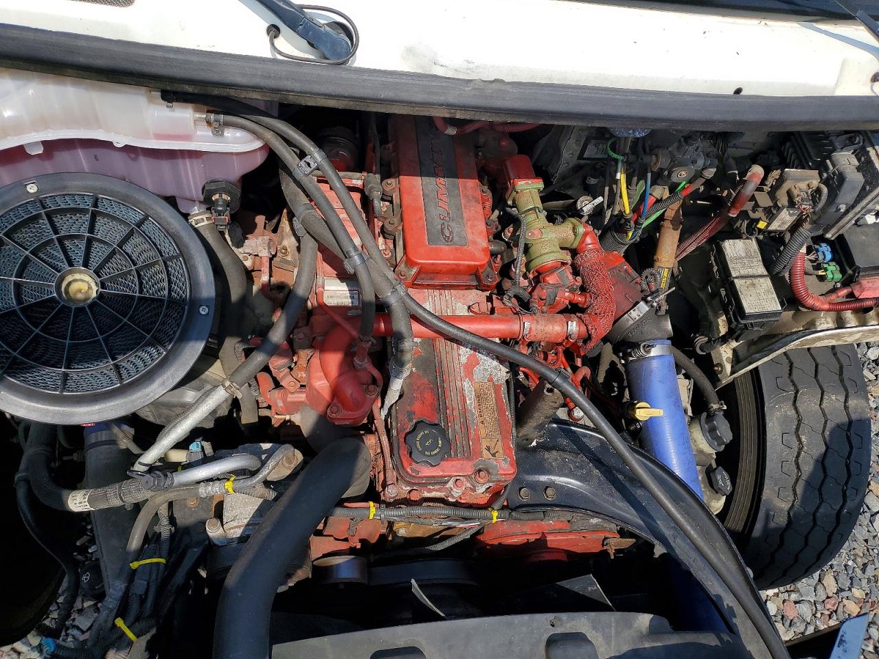 2015 FREIGHTLINER All other VIN 1FVHCYCY4FHGT0745 photo 11