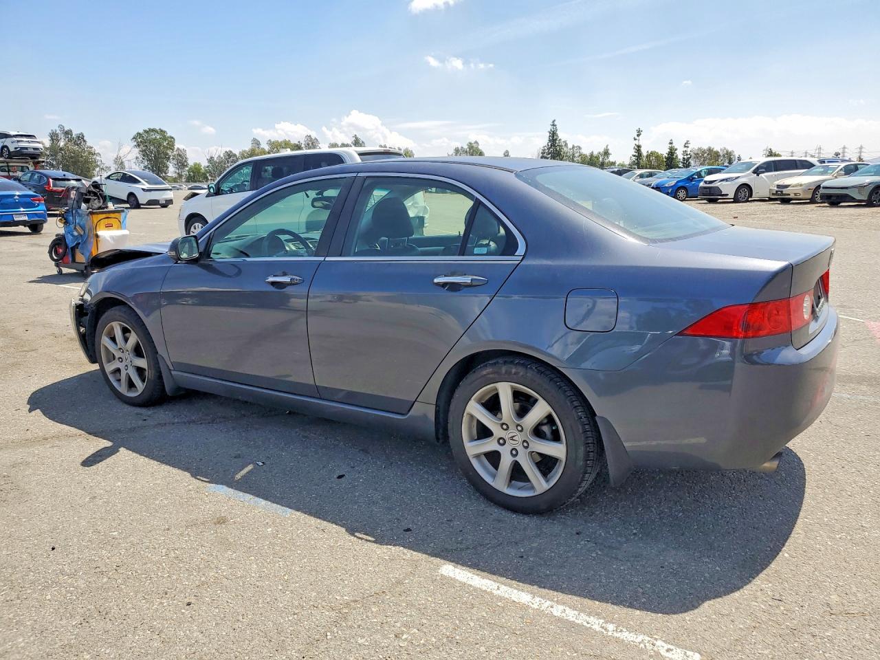 2004 Acura Tsx VIN JH4CL96944C026103 photo 2