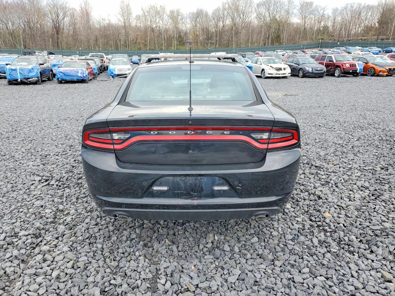 2023 Dodg Charger VIN 2C3CDXKG4PH691211 photo 6
