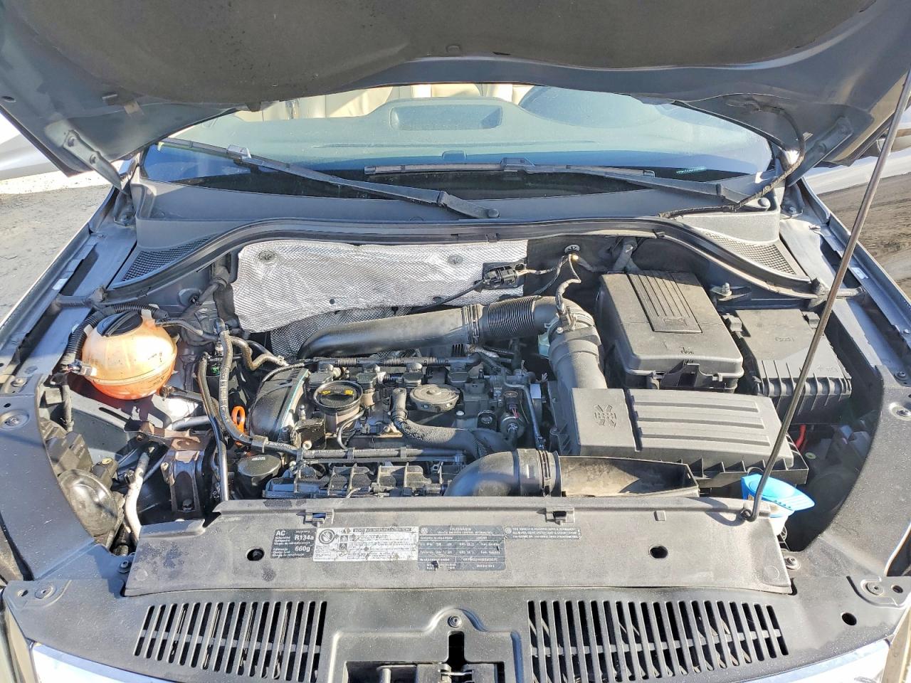 2010 Volkswagen Tiguan VIN WVGBV7AX8AW001079 photo 12