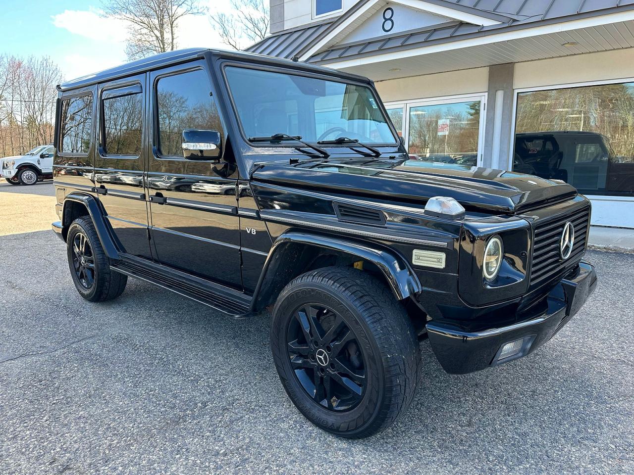 2003 MERCEDES-BENZ G-class VIN WDCYR49E23X140703 photo 1