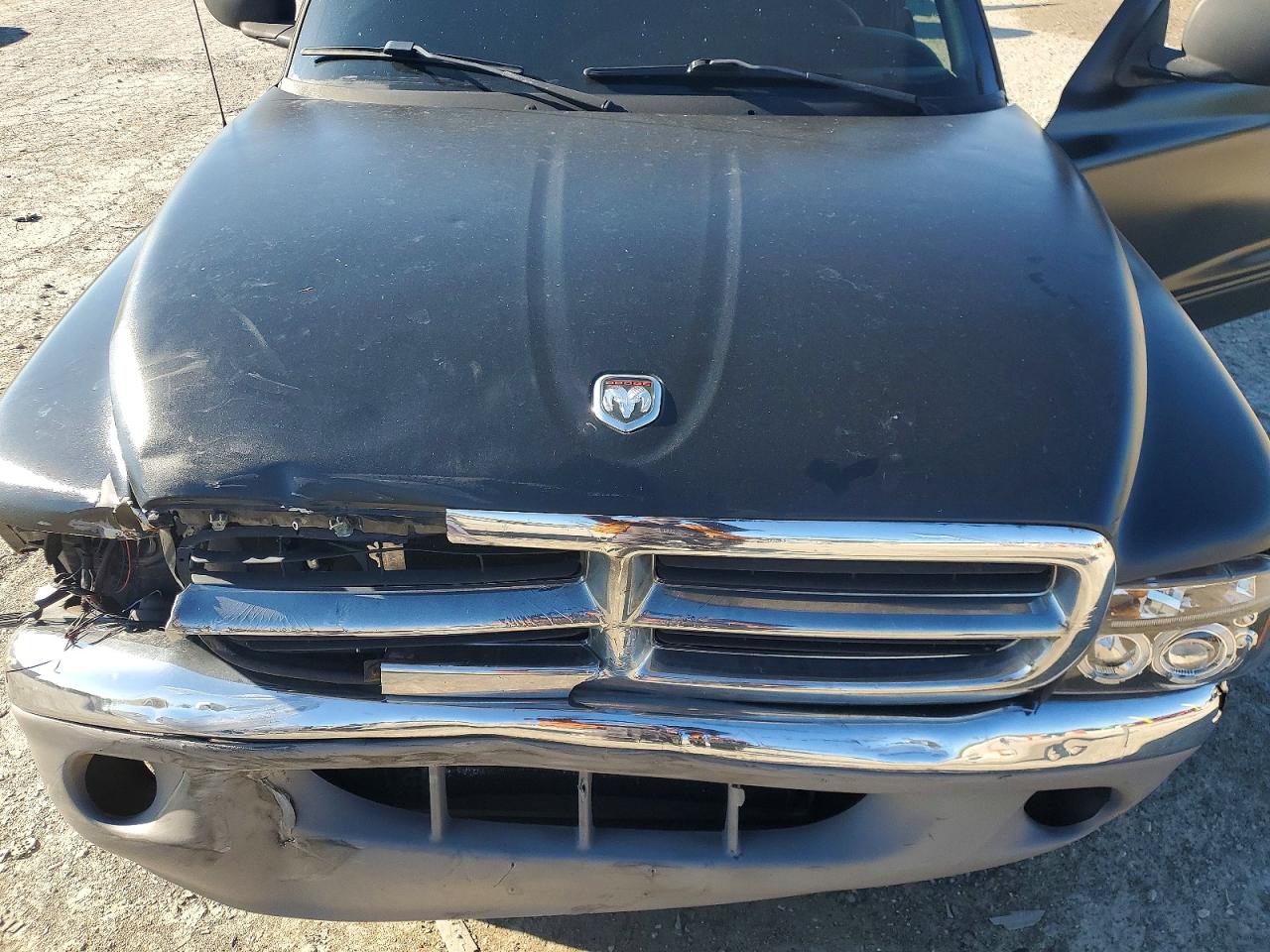 1998 Dodge Dakota VIN 1B7GG22Y9WS759543 photo 11
