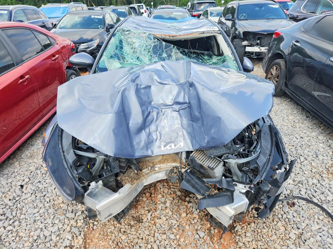 2022 Kia K5 VIN 5XXG24J29NG126248 photo 5