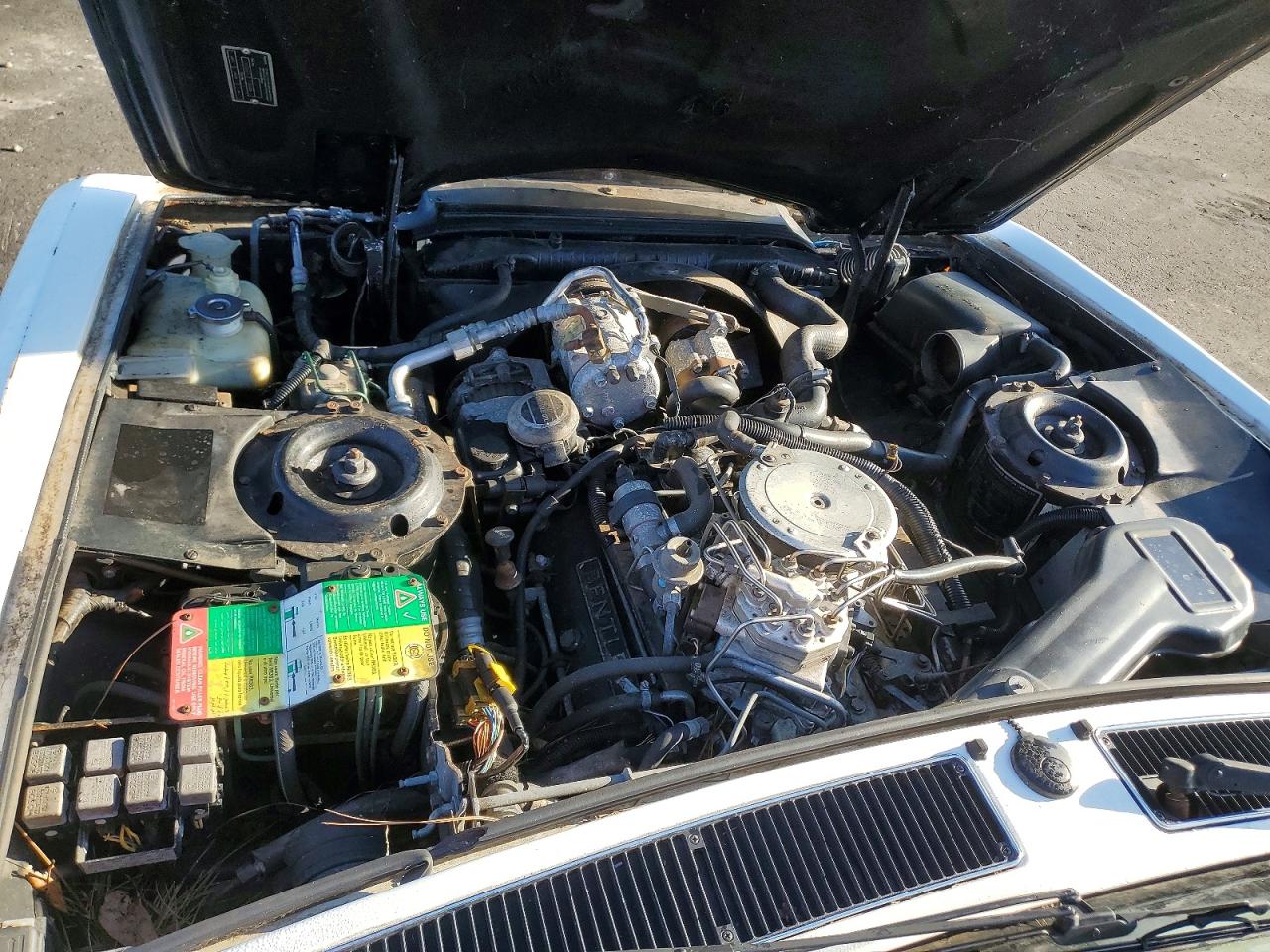 1993 BENTLY All other VIN SCBZE02D3PCX46298 photo 11