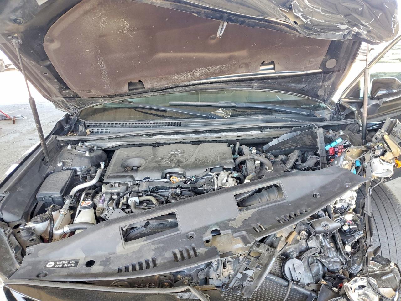 2019 Toyota Camry sola VIN 4T1B21HK1KU011594 photo 11