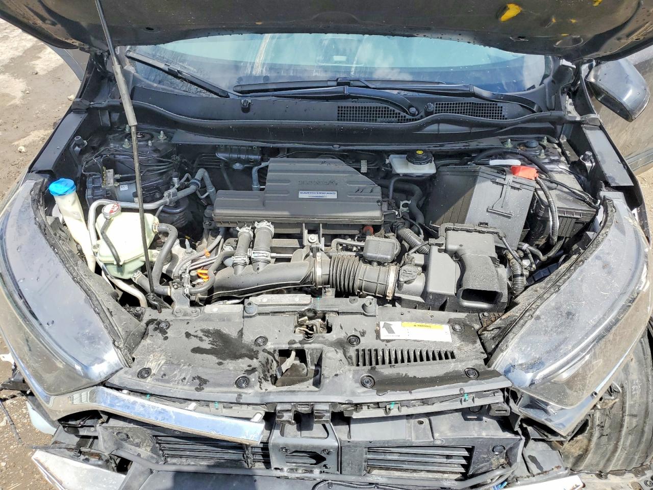 2019 Honda Crv VIN JHLRW2H80KX004655 photo 12