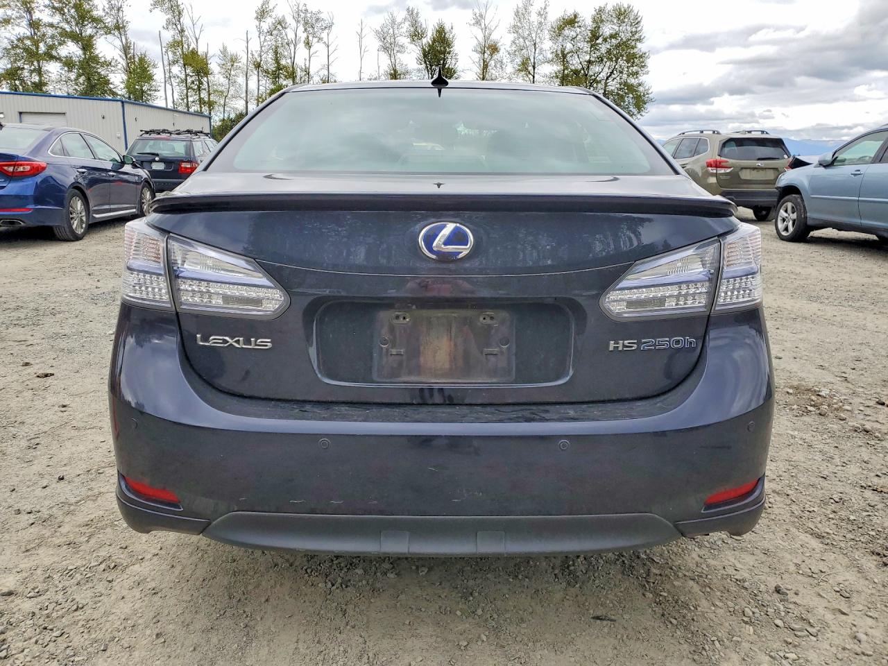 2010 Lexus Hs VIN JTHBB1BA0A2021739 photo 6