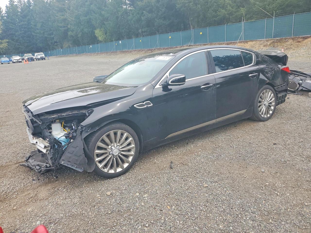 2018 KIA K900 VIN KNALW4D43J6037507 photo 1