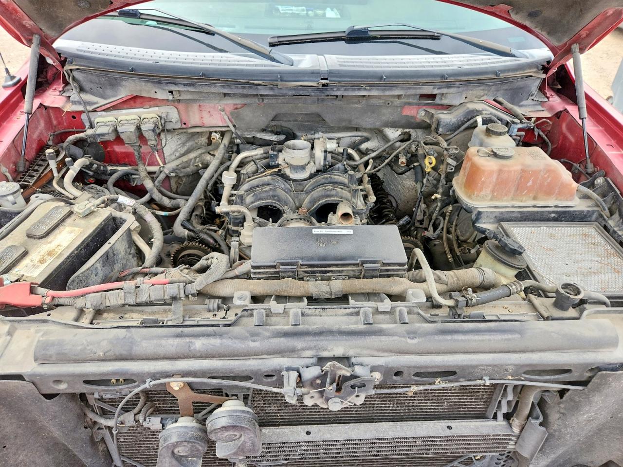 2010 Ford F150 VIN 1FTFW1EV1AKE58140 photo 11