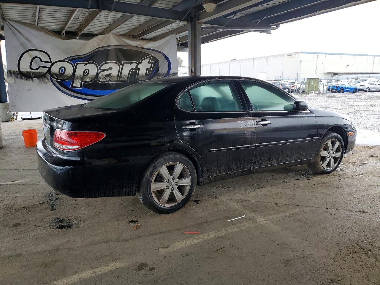 2005 Lexus Es330 VIN JTHBA30GX55071414 photo 3