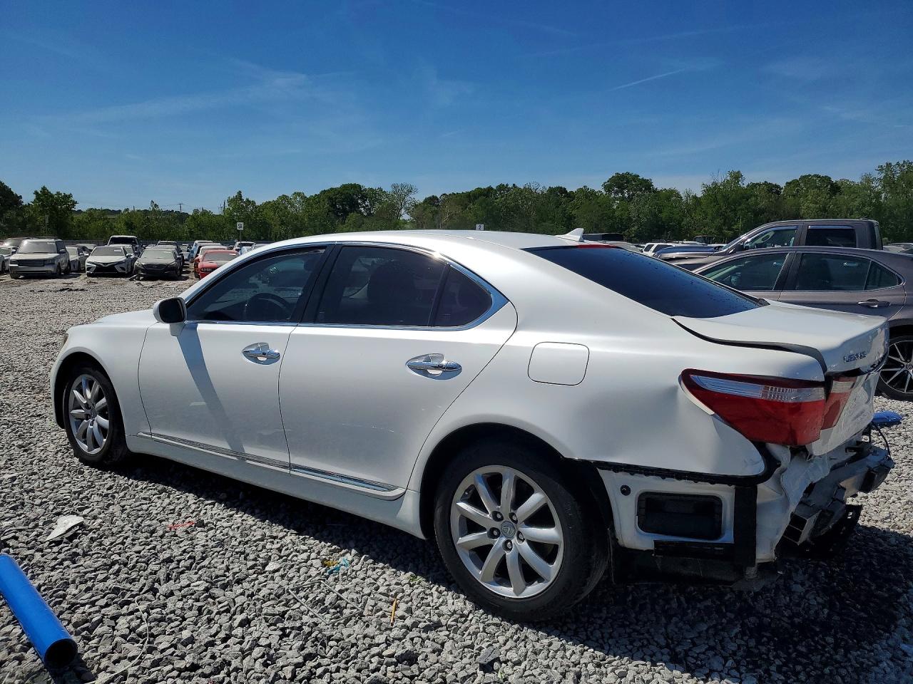 2009 Lexus Ls460 VIN JTHBL46F495090626 photo 2