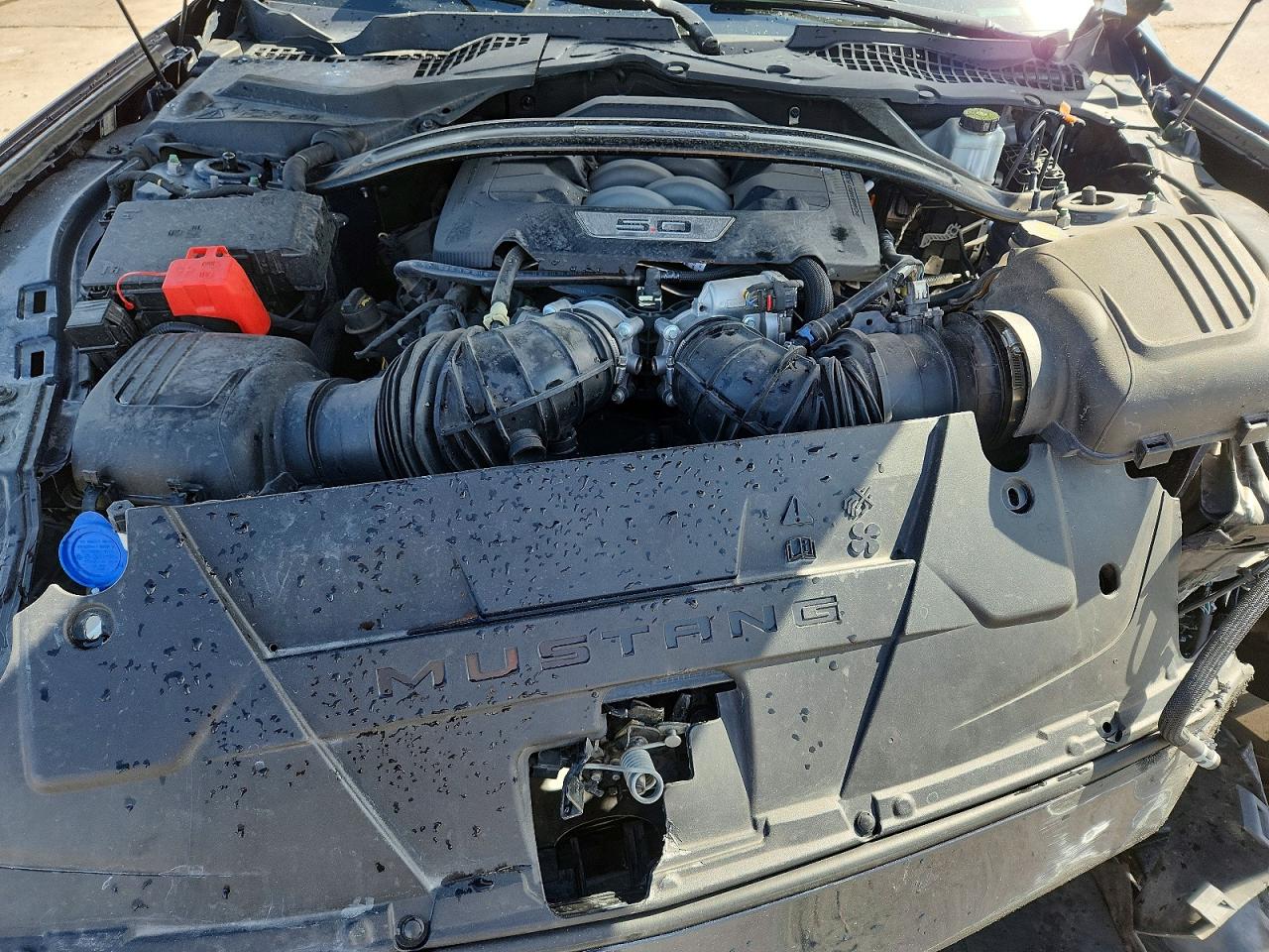 2024 Ford Mustang VIN 1FA6P8R09R5502616 photo 11