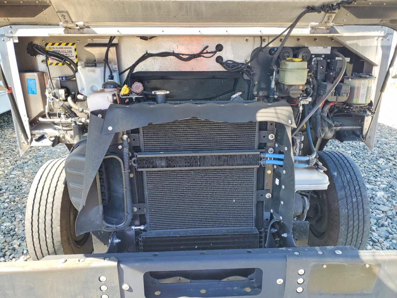 2020 FREIGHTLINER All other VIN 4UZAC2EA7LCMH7754 photo 12