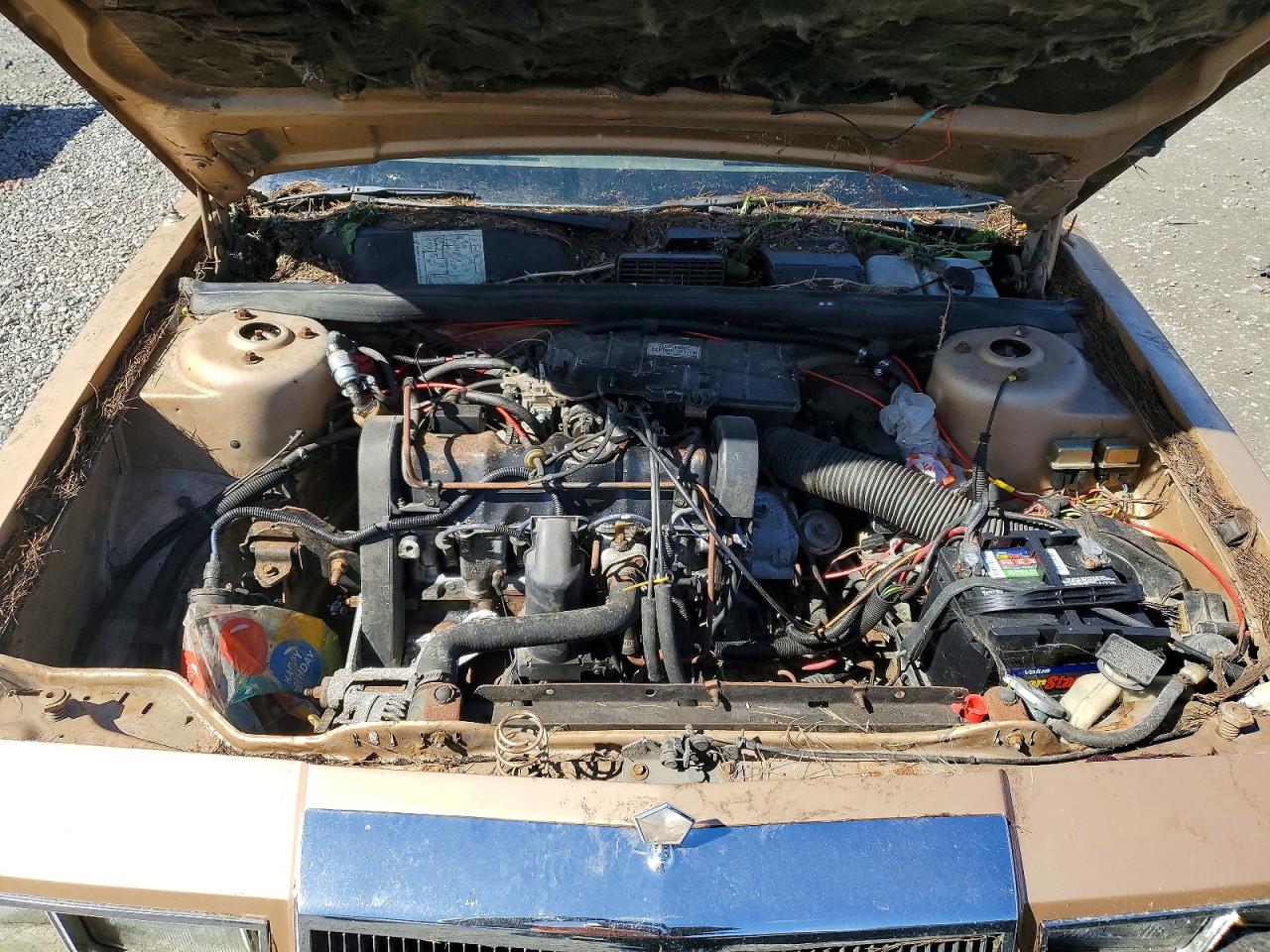 1984 CHRYSLER Lebaron VIN 1C3BC55C3EG167732 photo 11