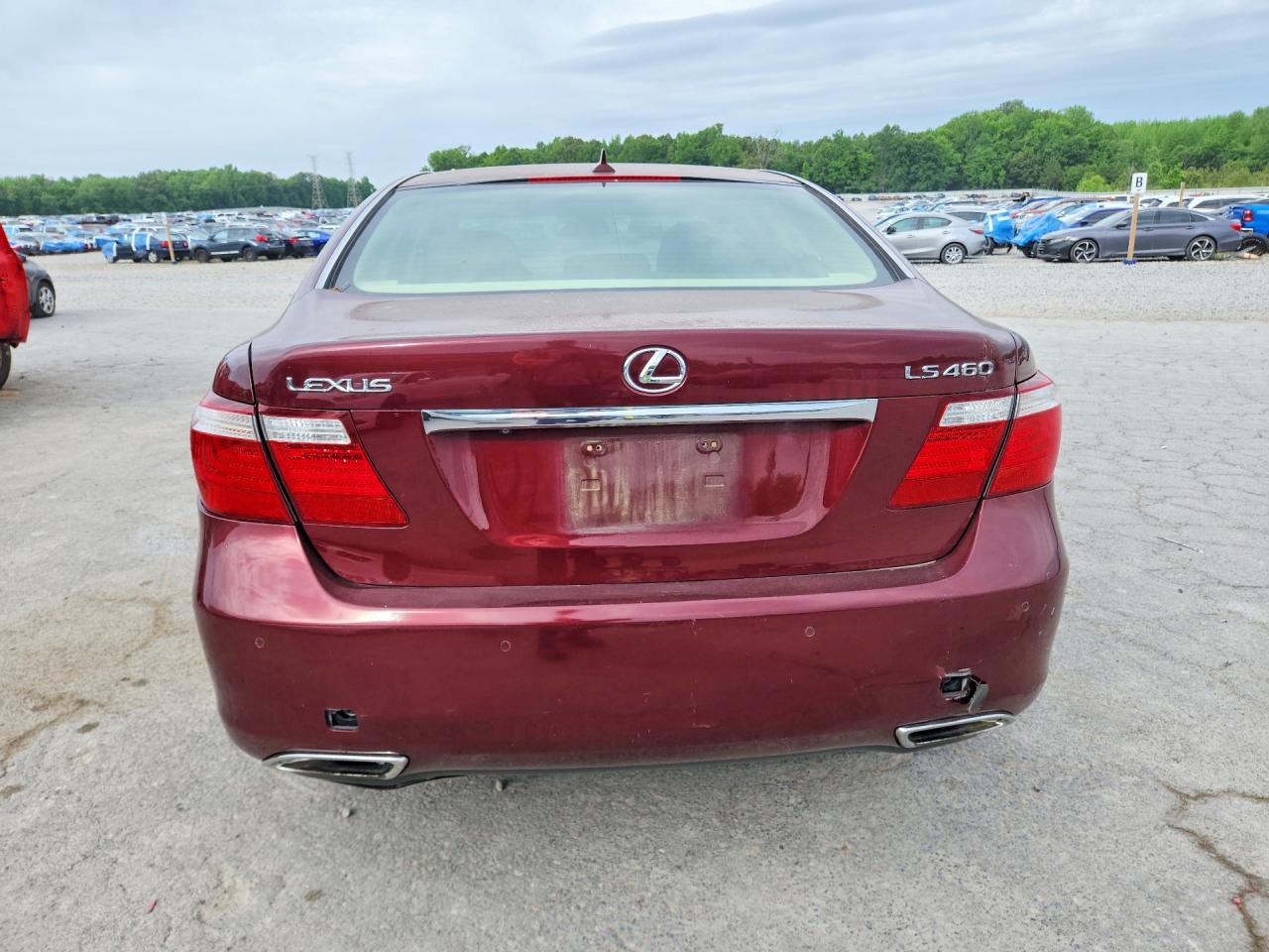 2009 Lexus Ls460 VIN JTHBL46F095086427 photo 6