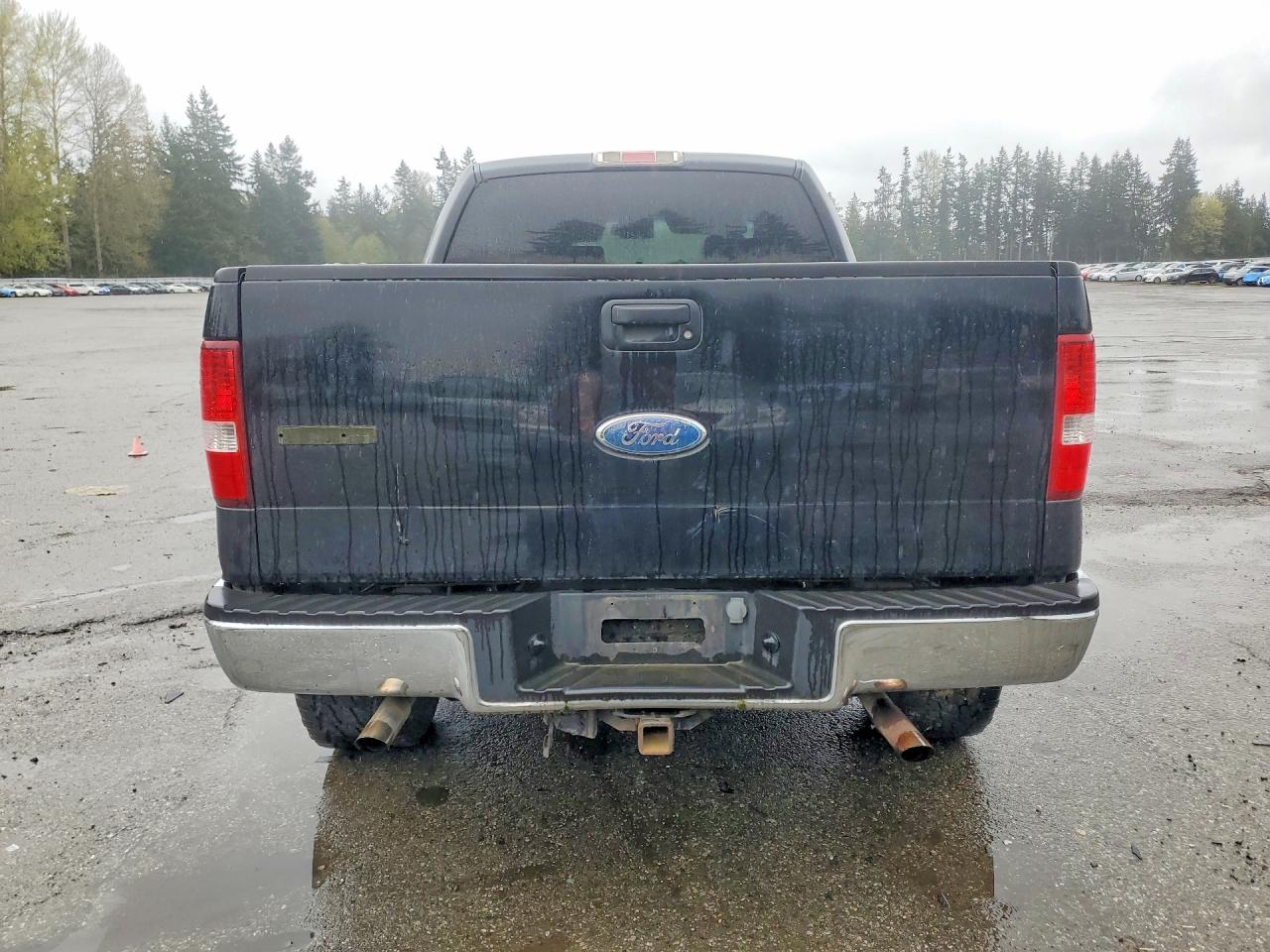 2006 Ford F150 VIN 1FTPW14V96KD68134 photo 6