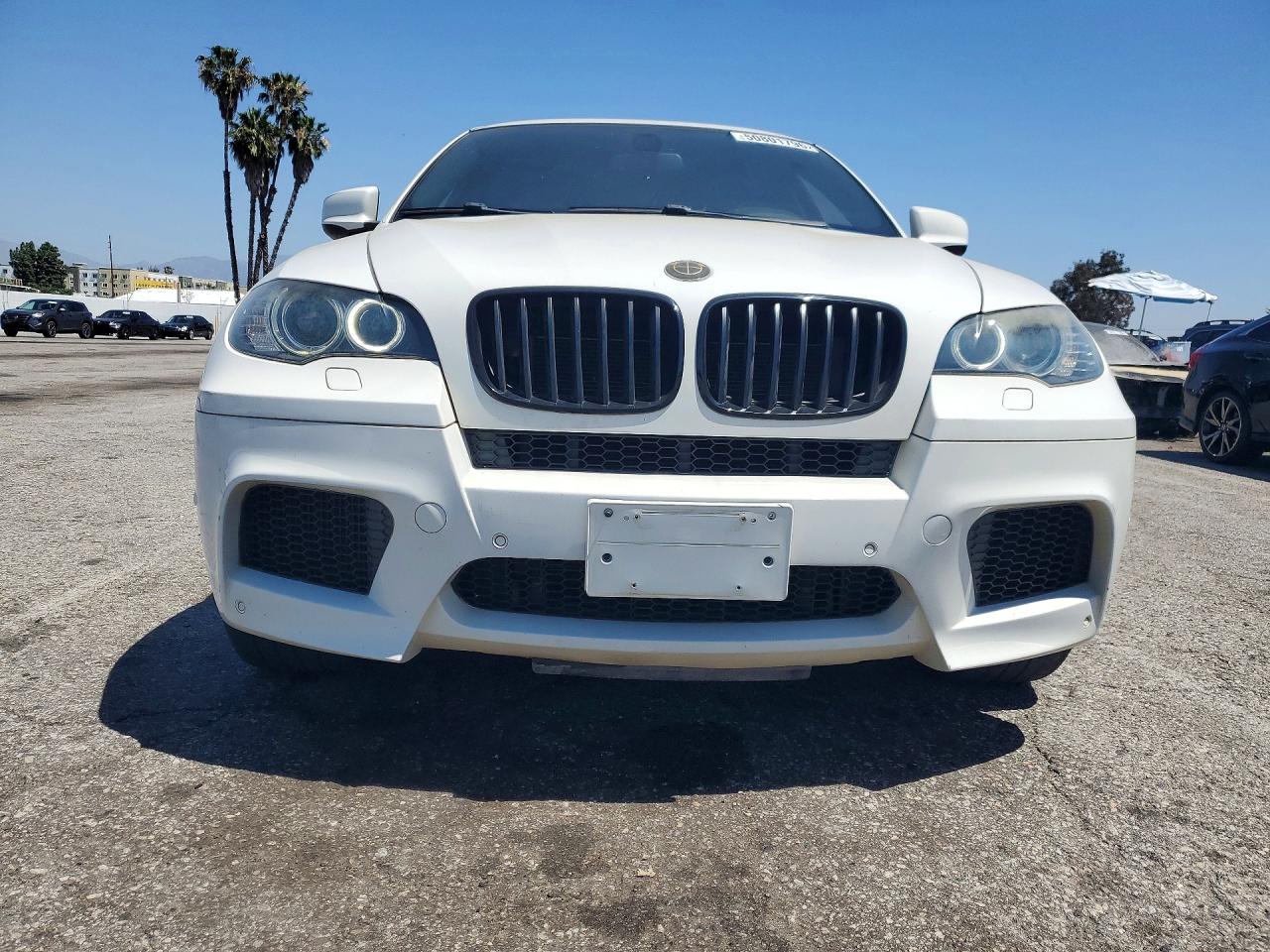2012 BMW X6 VIN 5YMGZ0C53CLL29619 photo 5