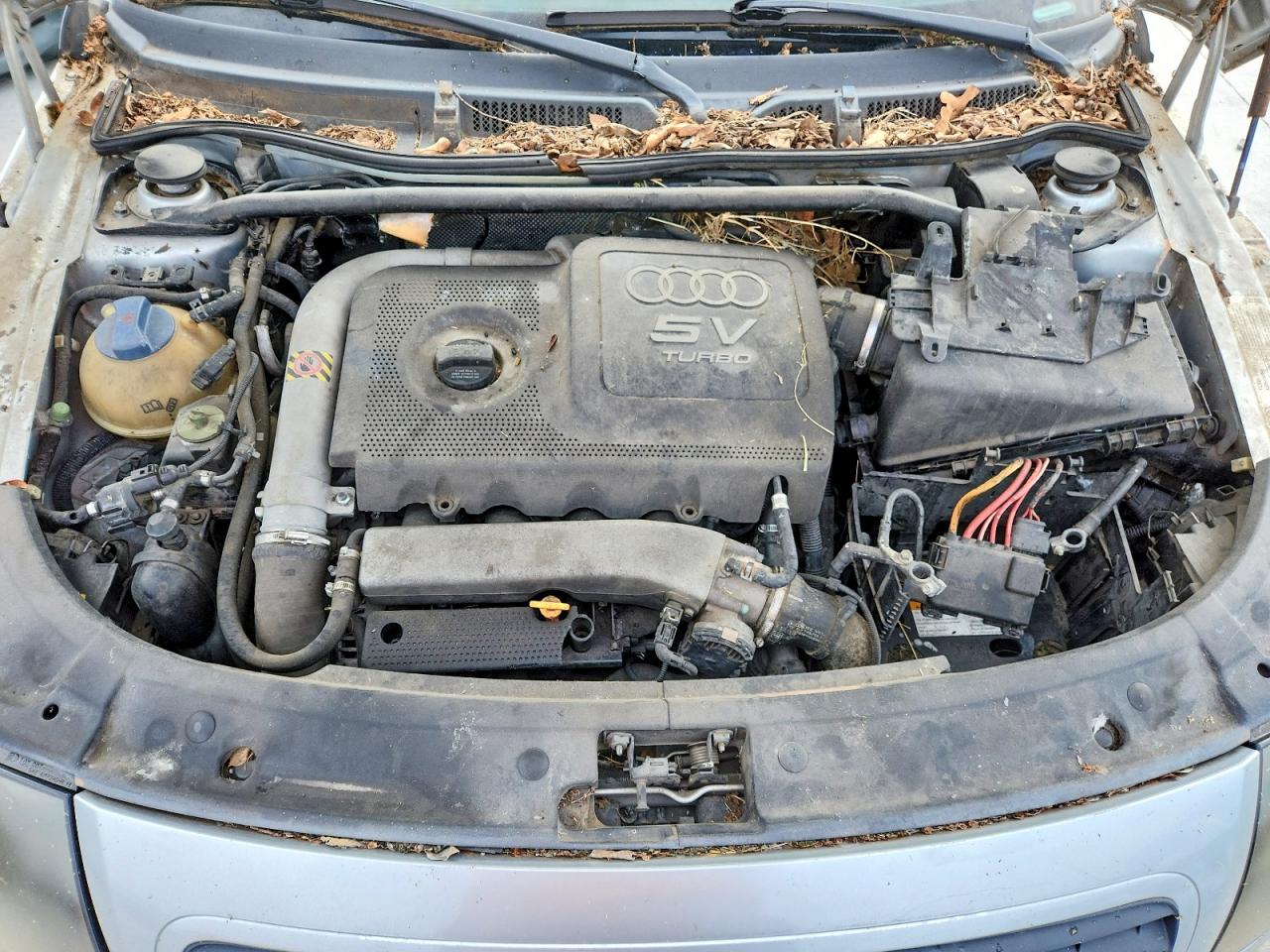 2001 Audi Tt VIN TRUUT28N911028899 photo 11