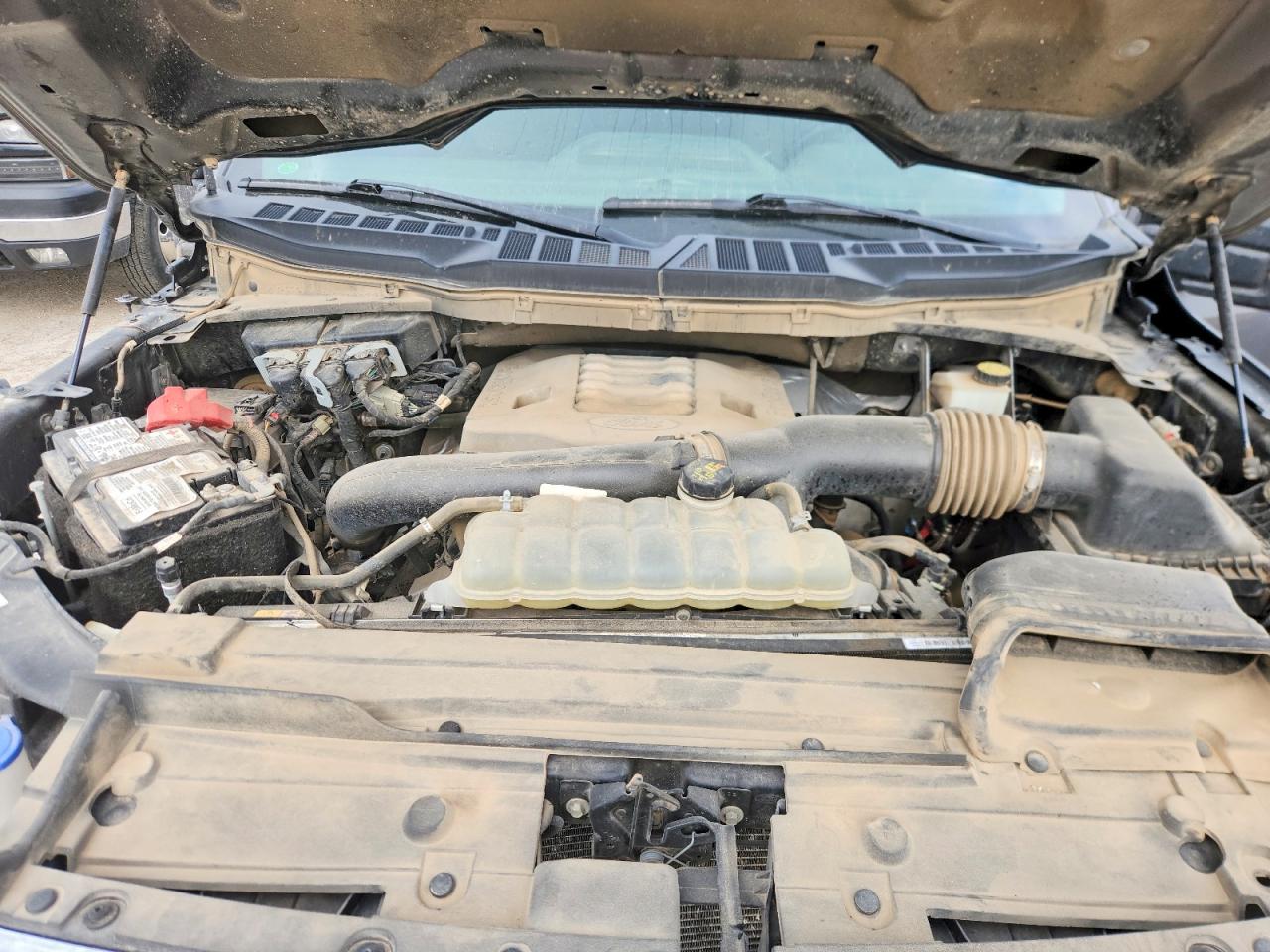 2021 Ford F150 VIN 1FTFW1E81MFC31036 photo 11