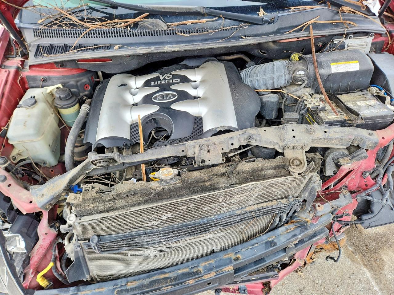 2006 Kia SEDONA VIN KNDMB233066054935 photo 12